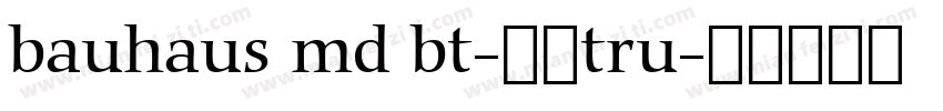 bauhaus md bt-常规tru字体转换